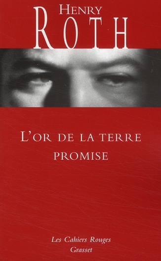 Emprunter L'or de la terre promise livre