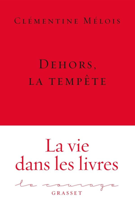 Emprunter Dehors, la tempête livre