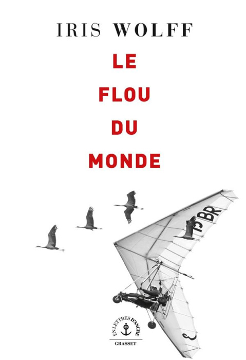 Emprunter Le flou du monde livre