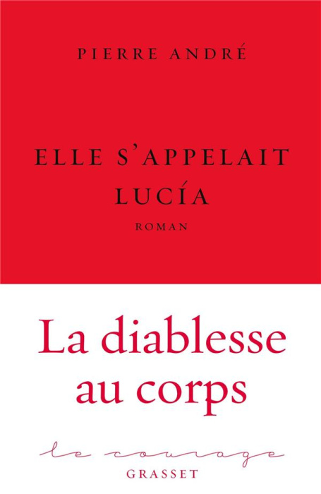 Emprunter Elle s'appelait Lucía livre