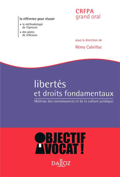 Emprunter Libertés et droits fondamentaux. Maîtrise des connaissances et de la culture juridique, Edition 2019 livre