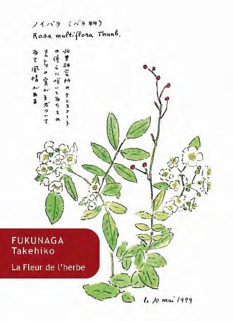 Emprunter La fleur de l'herbe livre