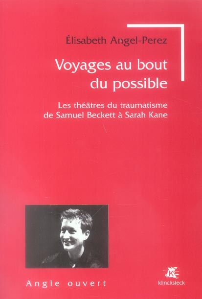 Emprunter Voyages au bout du possible. Les théâtres du traumatisme de Samuel Beckett à Sarah Kane livre