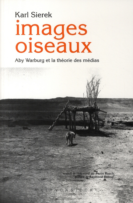 Emprunter Images oiseaux. Aby Warburg et la théorie des médias livre