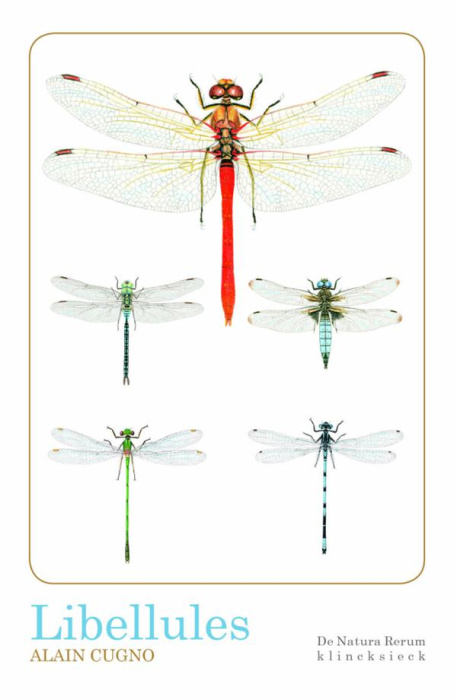 Emprunter Libellules livre