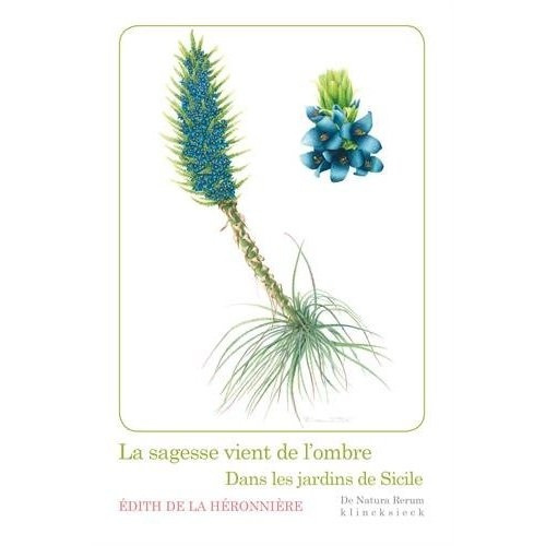 Emprunter La sagesse vient de l'ombre. Dans les jardins de Sicile livre