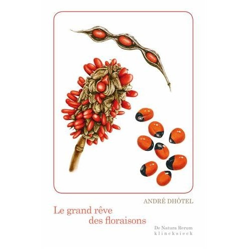 Emprunter Le grand rêve des floraisons livre