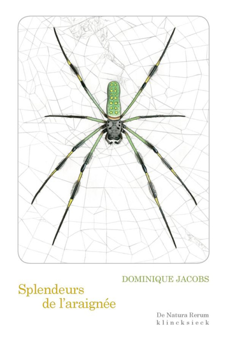 Emprunter Splendeurs de l'araignée livre