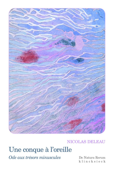 Emprunter Une conque à l'oreille. Ode aux trésors minuscules livre