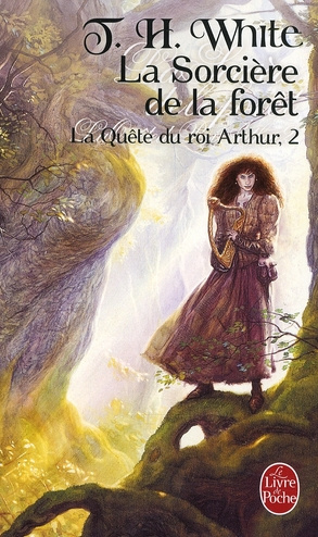 Emprunter La quête du roi Arthur Tome 2 : La Sorcière de la forêt livre