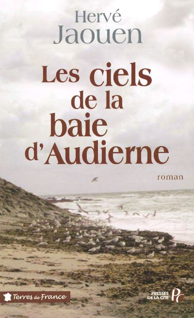 Emprunter Les ciels de la baie d'Audierne livre