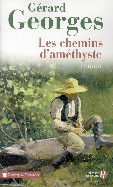Emprunter Les chemins d'améthyste livre