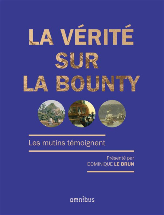 Emprunter La vérité sur le Bounty. Les mutins témoignent livre