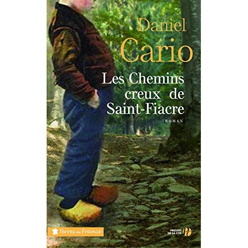Emprunter Les Chemins creux de Saint-Fiacre livre