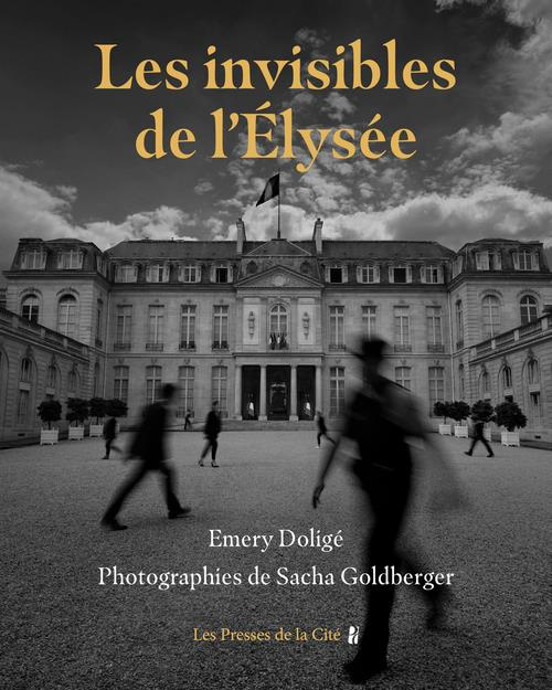 Emprunter Les invisibles de l'Elysée livre