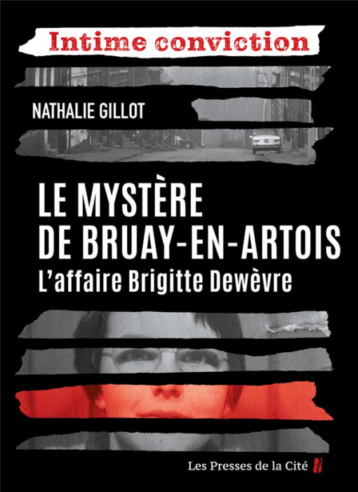 Emprunter Le mystère de Bruay-en-Artois. L'affaire Brigitte Dewèvre livre