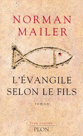 Emprunter L'Evangile selon le fils livre