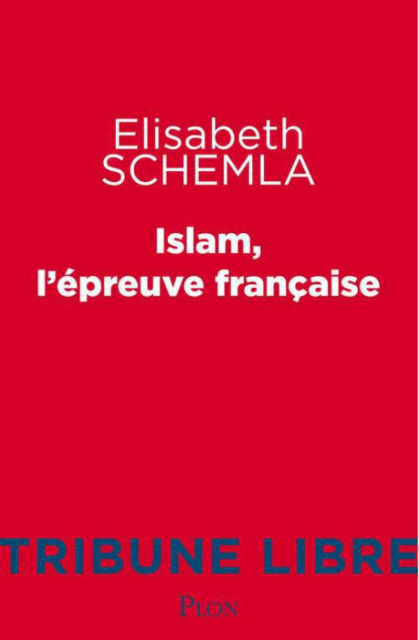 Emprunter Islam, l'épreuve française livre