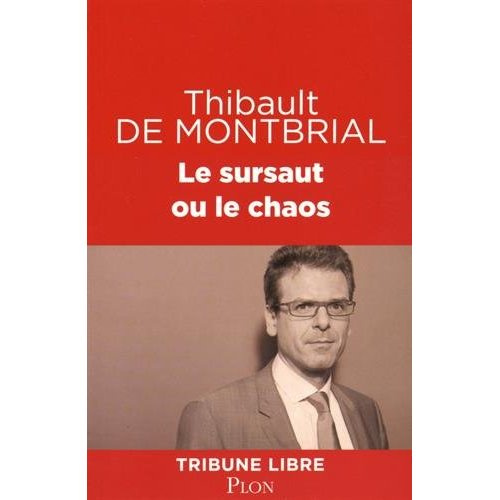 Emprunter Le sursaut ou le chaos livre
