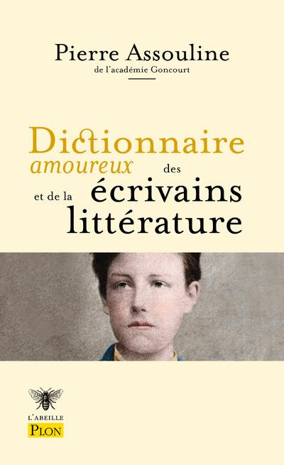 Emprunter Dictionnaire amoureux des écrivains et de la littérature livre
