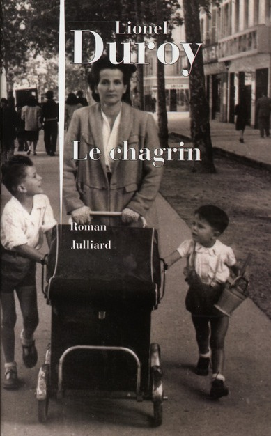 Emprunter Le chagrin livre