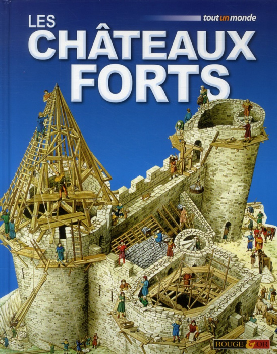 Emprunter Les châteaux forts livre