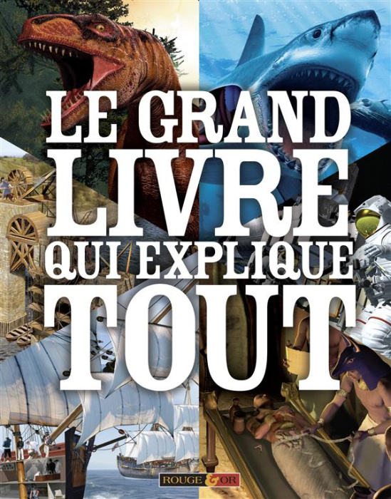 Emprunter Le grand livre qui explique tout livre