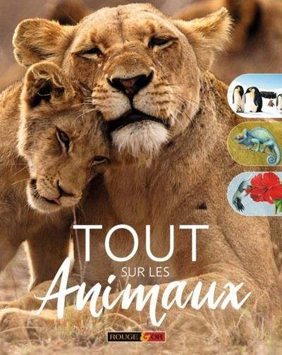 Emprunter Tout sur les animaux livre