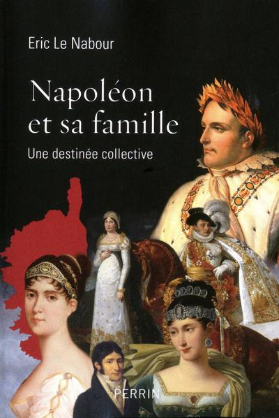 Emprunter Napoléon et sa famille. Une destinée collective livre