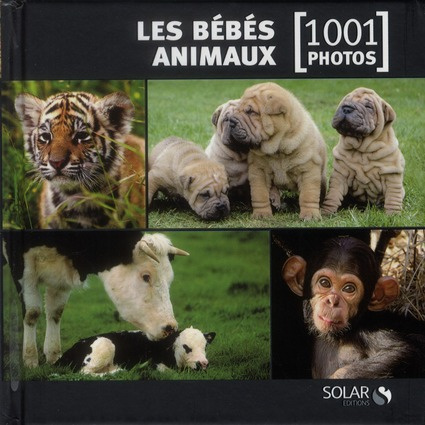Emprunter Les bébés animaux livre