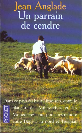 Emprunter Un parrain de cendre livre