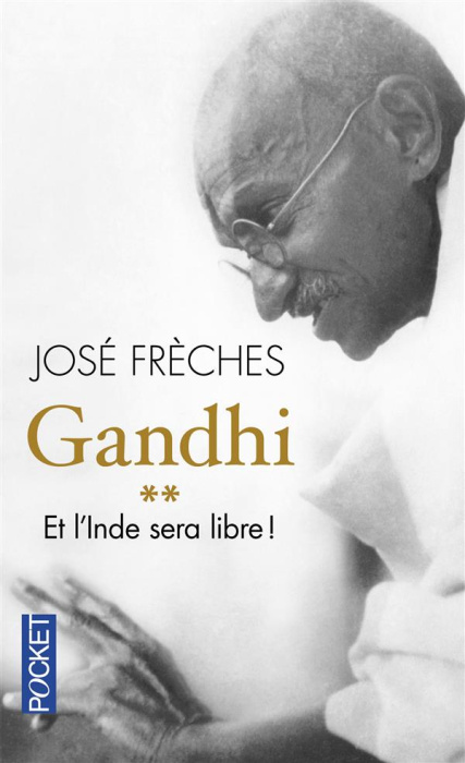 Emprunter Gandhi. Tome 2, Et l'Inde sera libre ! livre