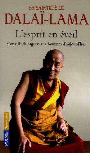 Emprunter L'esprit en éveil. Conseils de sagesse aux hommes d'aujourd'hui livre