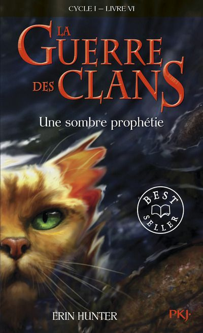 Emprunter La Guerre des Clans (Cycle 1) Tome 6 : Une sombre prophétie livre