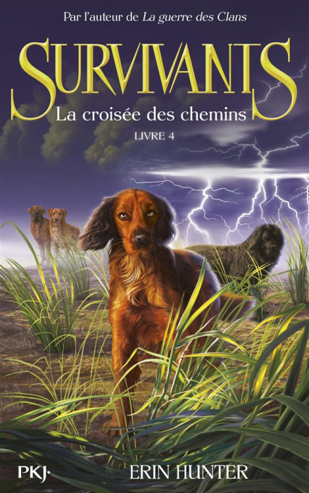 Emprunter Survivants Tome 4 : La croisée de chemins livre