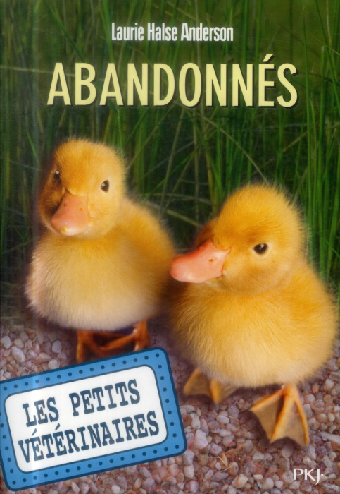 Emprunter Les Petits Vétérinaires Tome 16 : Abandonnés livre