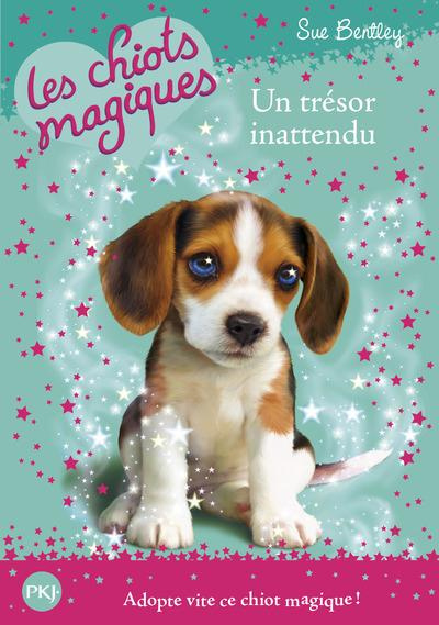 Emprunter Les chiots magiques Tome 14 : Un trésor inattendu livre