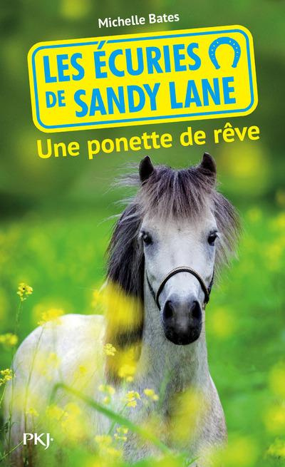 Emprunter Les écuries de Sandy Lane Tome 5 : Une ponette de rêve livre