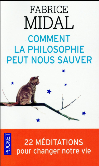 Emprunter Comment la philosophie peut nous sauver / 22 méditations pour changer notre vie livre
