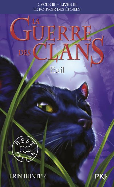 Emprunter La guerre des clans : le pouvoir des étoiles (Cycle III) Tome 3 : Exil livre