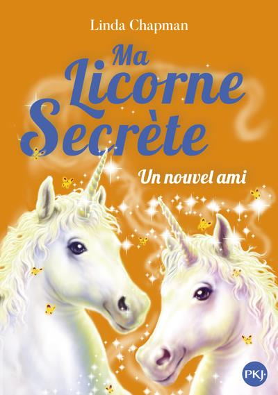 Emprunter Ma licorne secrète Tome 6 : Un nouvel ami livre