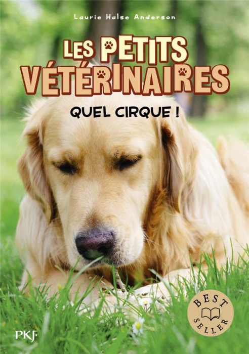 Emprunter Les Petits Vétérinaires Tome 25 : Quel cirque ! livre
