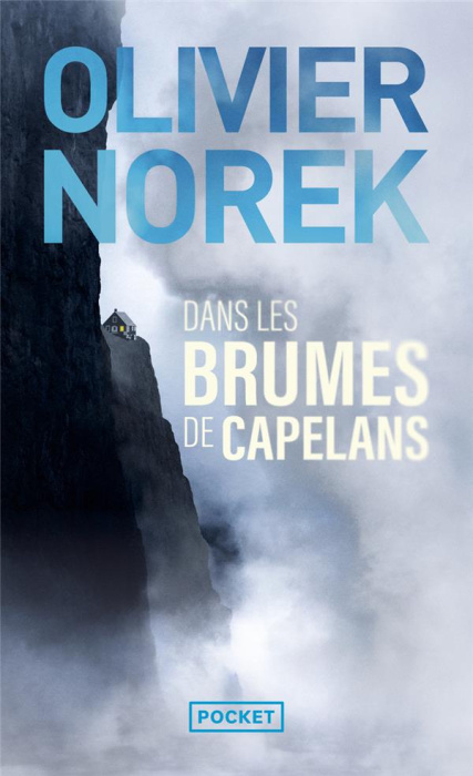 Emprunter Dans les brumes de Capelans livre
