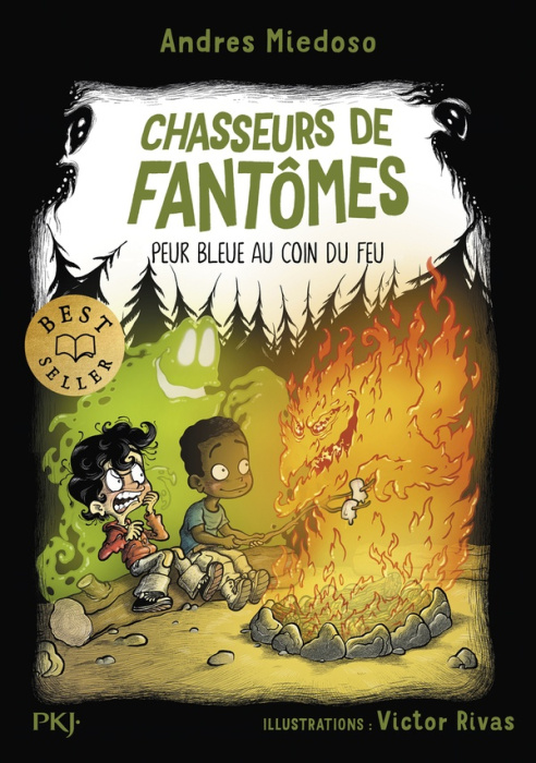 Emprunter Chasseurs de fantômes Tome 8 : Peur bleue au coin du feu livre