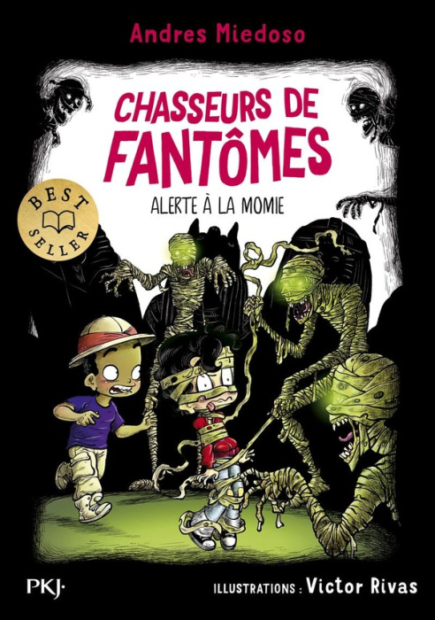 Emprunter Chasseurs de fantômes Tome 9 : Alerte à la momie livre