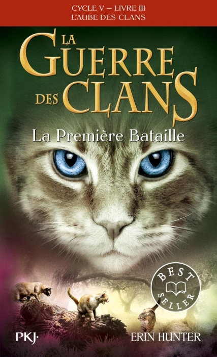 Emprunter La guerre des clans : L'aube des clans (Cycle V) Tome 3 : La première bataille livre