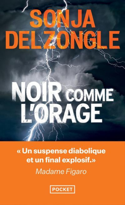 Emprunter Noir comme l'orage livre
