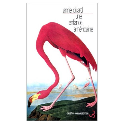 Emprunter Une enfance américaine livre