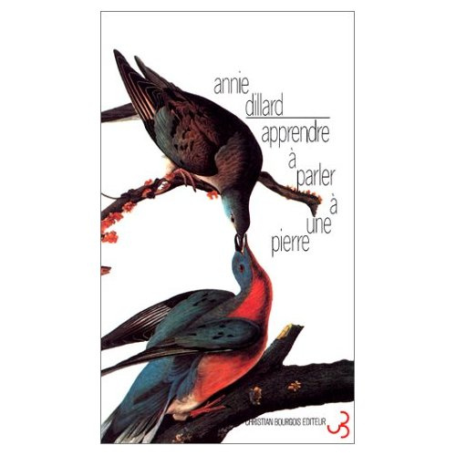 Emprunter Apprendre à parler à une pierre livre