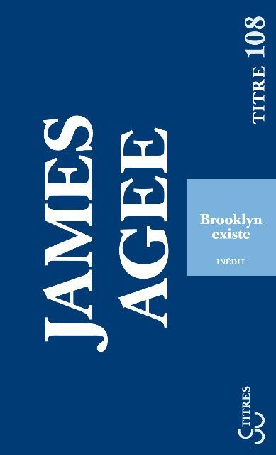 Emprunter Brooklyn existe. Sud-est de l'île : carnet de route livre